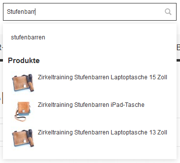 Darstellung von Produktvorschlägen im Ausklappmenü der Schnellsuche